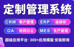 平台小程序开发/高端网页/多端APP开发/系统定制/物联网智